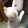 Profilbild von みさきちん