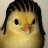 Junipero profil fotoğrafı