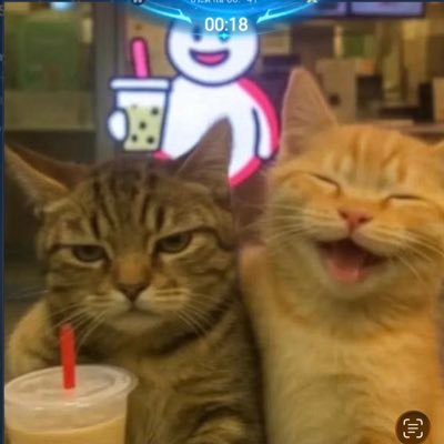 catแมวอ้วนค่ะ's profile picture