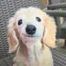 I Just Zap Em's profile picture