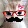 bb kuff 𐙚 profil fotoğrafı
