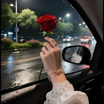 güliyare's profile picture
