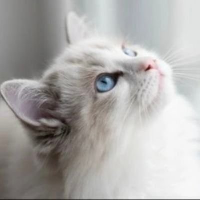 SandyEverett777's profile picture