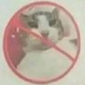 Profilbild von rafatar