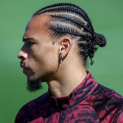 L_Sane1905's profile picture