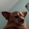 Matalinja profil fotoğrafı