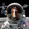 Cavalo Astronauta profil fotoğrafı