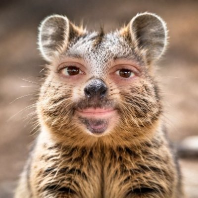 Ryan B's profile picture