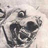 Ksaksu Kluth's profile picture