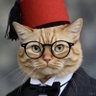 مشمش أفندي عبد الكريم 🇪🇬 profil fotoğrafı