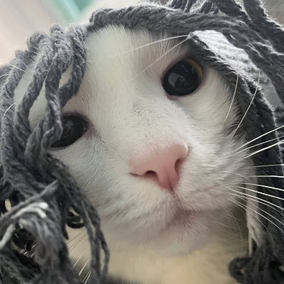 Romanus Surt (スルト゠ロマヌス)'s profile picture