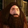 Profilbild von Hagrid ps1