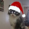 Azuzuly's profile picture