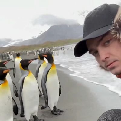 G0derigo's profile picture
