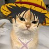 Profilbild von GLUREK
