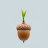 Boocarkey's profile picture