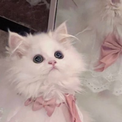 🪄˚.🎀༘⋆'s profile picture