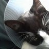 Profilbild von Louie Louie12
