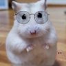 Profilbild von はな丸