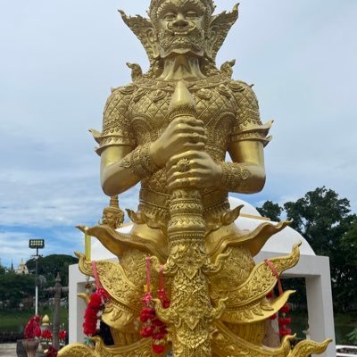 rdsseraoiu5639's profile picture