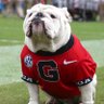 TexasBulldog 的头像
