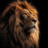 Austin Mulla's profile picture