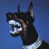 Фото профиля Douglas