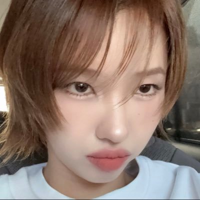 연이사자's profile picture