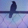 Tabphgid1 T's profile picture