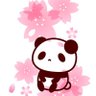 🌸さくらぱんだ🐼 profil fotoğrafı