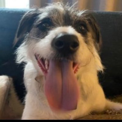 billifer1973's profile picture