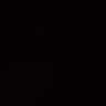 Profilbild von gemini