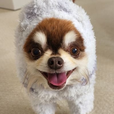 こころのまま's profile picture