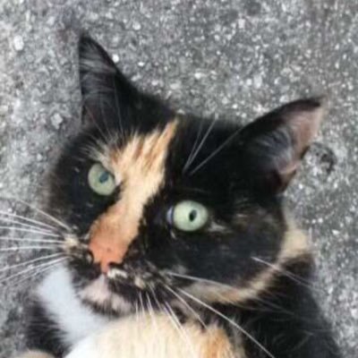 haweryadoin's profile picture