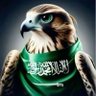 Фото профиля سيوف النصر