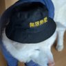 りんけ(rama)_VAWS 的头像