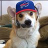 Profilbild von CorgiGamers