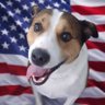 Mutty Patriot's profile picture