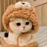 明明 赵 profil fotoğrafı