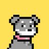 Profilbild von AO