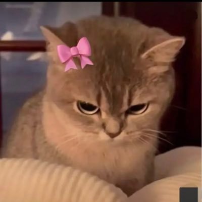 Sabrina's profile picture