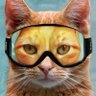 GG-unit's profile picture