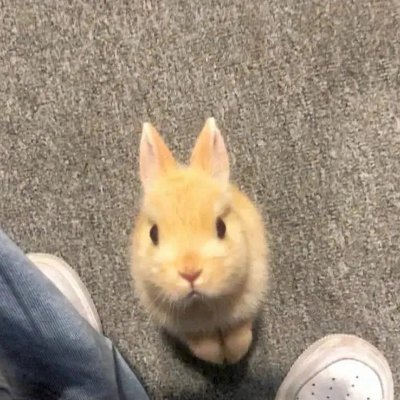 chiridid's profile picture