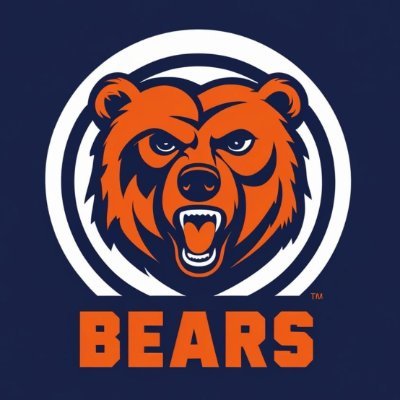 Bears History's profile picture