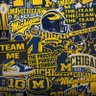 Profilbild von #⃣Michigan & Detroit (FOOTBALL🏈〽️⭐️🦁💙