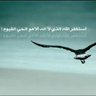 amyh87291 profil fotoğrafı