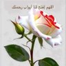Profilbild von ابن النجف لاشرف