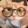 app 的头像