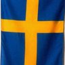 Фото профиля SWESECAX🇸🇪🪓