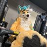 Tex Yotie 🔜 🏖 的头像